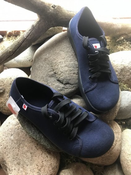 ANATOMIC STARTER A19