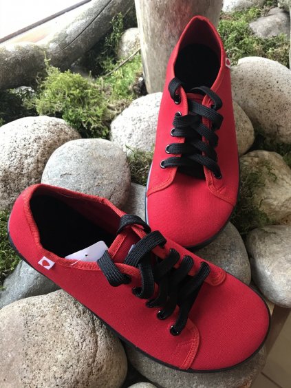 A98F3D9A CCE6 471A 851D 2C81692C49E6