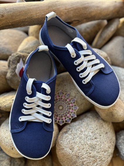 ANATOMIC STARTER A11