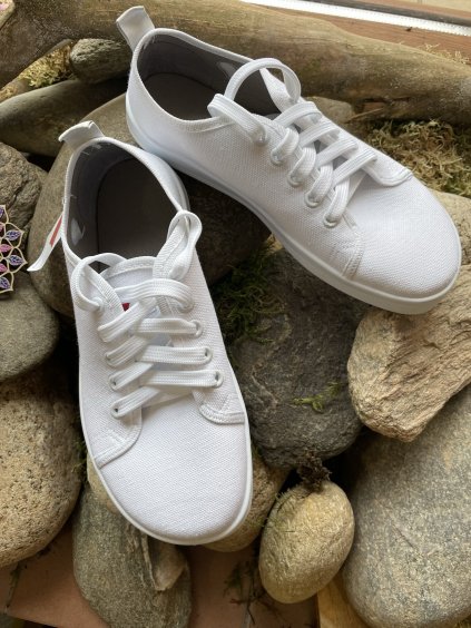 033A21BD 4DB1 400E A65E 8194CFD7921D