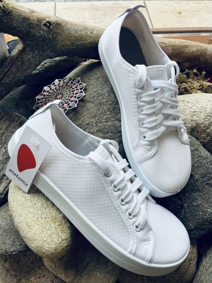 F447F476 BEBD 4D0A A555 F30ACF6BE995