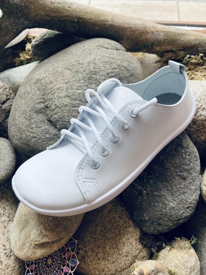 4188F7CF 1E84 45AE 9FF2 635D63CBB02F