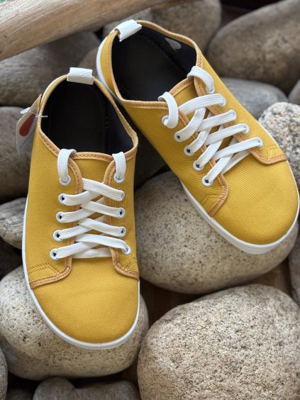 ANATOMIC STARTER A04