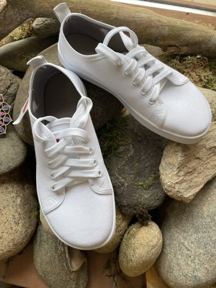 033A21BD 4DB1 400E A65E 8194CFD7921D