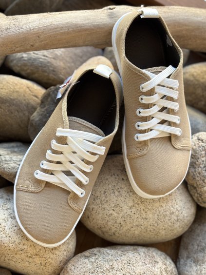 ANATOMIC STARTER AE01