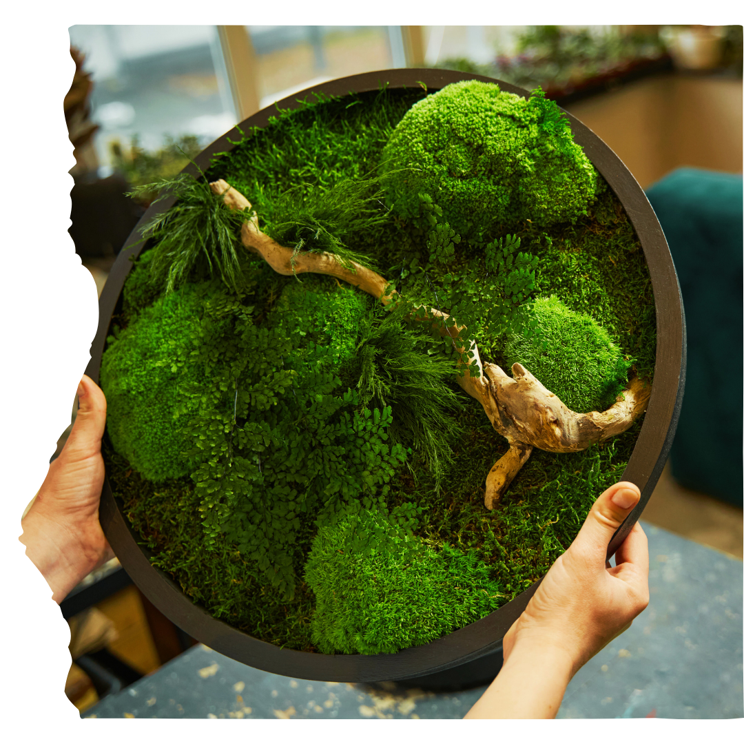 Krása a přínosy mechových obrazů v interiérovém designu