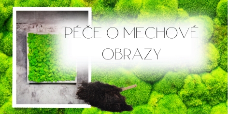 Péče o mechové obrazy