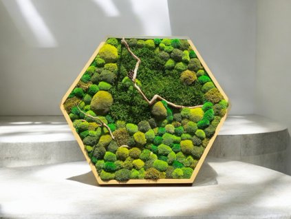 mechovy_obraz_hexagon