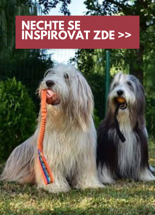 Inspirujte se fotkami spokojených majitelů a jejich mazlíčků
