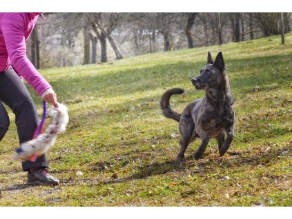 Propletená ovce na amortizéru