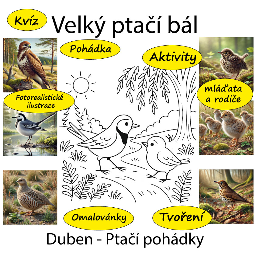 DUBEN - Ptačí pohádka