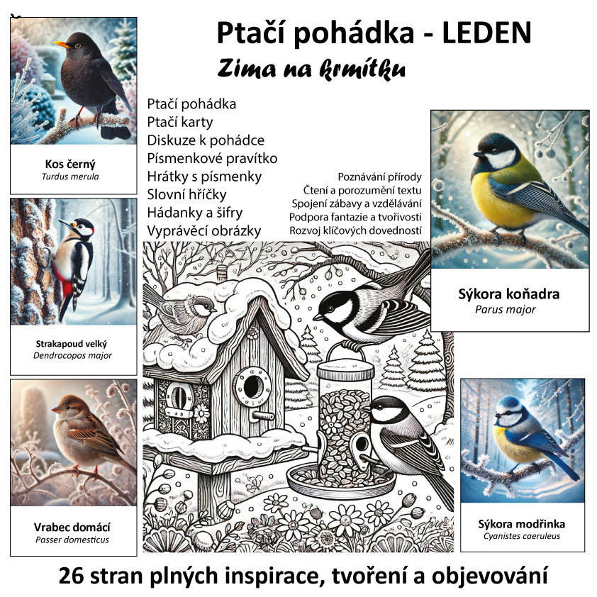 Ptačí pohádky - LEDEN