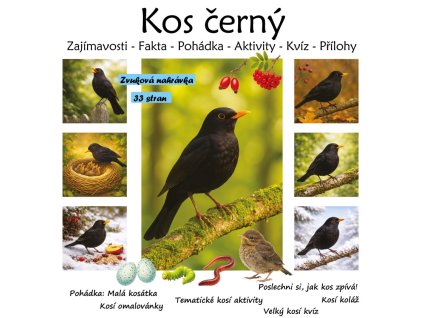 kos cerny ludivera (28)