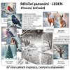 LEDEN - Měsíční putování