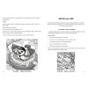 sykora konadra ludivera (7)