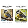 sykora konadra ludivera (10)