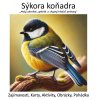 sykora konadra ludivera (1)