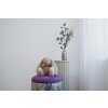 Taburet 'purple jungle'