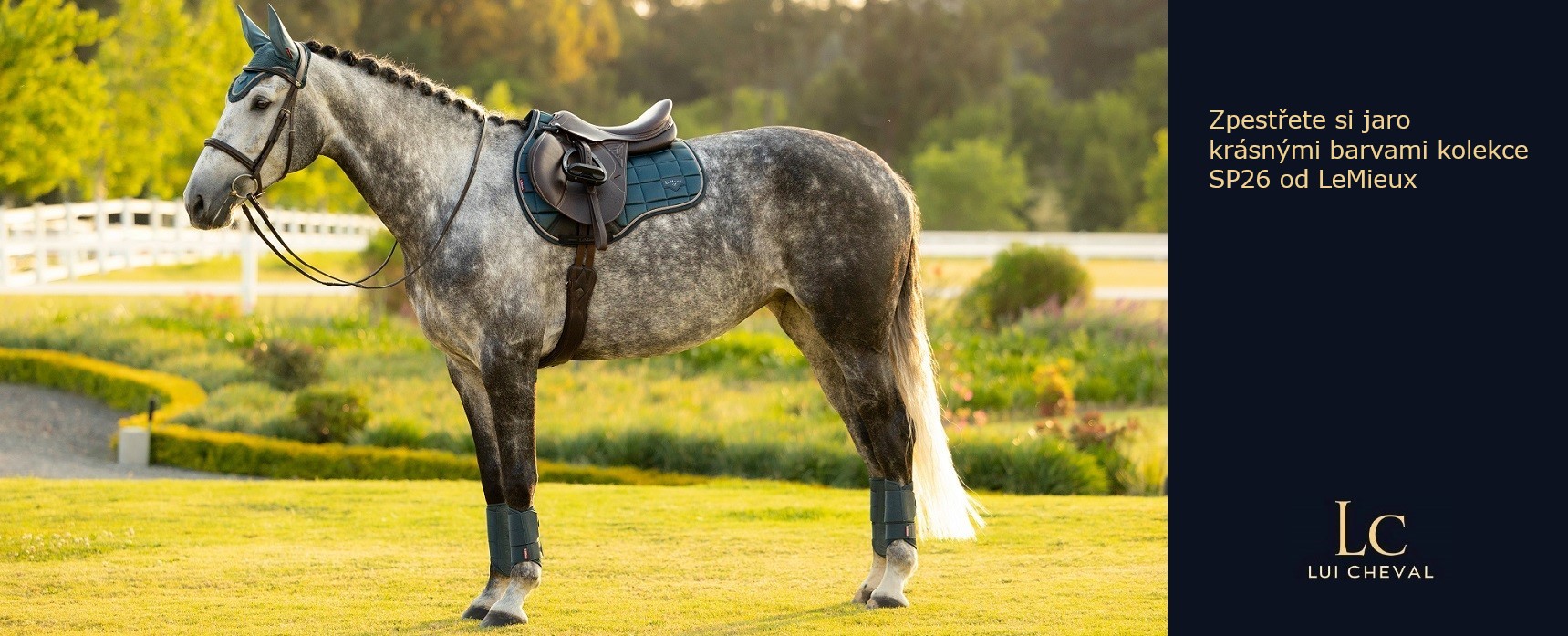 LeMieux SP26 Loire