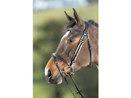 Uzdečka HFI Functional1