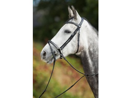 Uzdečka HFI Sparkly1