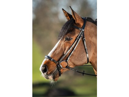 Uzdečka HFI German1