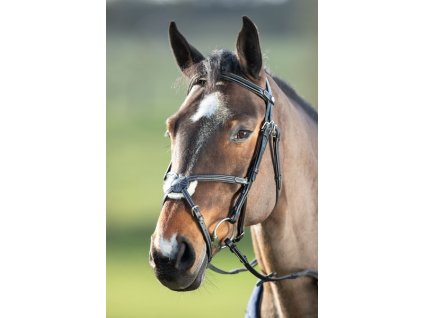 Uzdečka HFI Mexican1