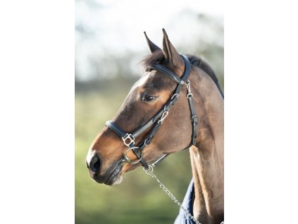 Uzdečka HFI Combo Uzdečka/Ohlávka1