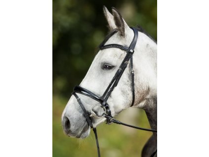 Uzdečka HFI Luxe1
