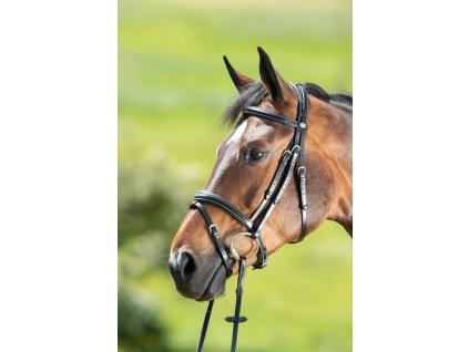 Uzdečka HFI Technical1