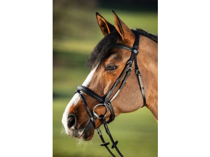 Uzdečka HFI Soft1