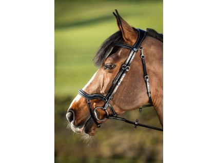 Uzdečka HFI Techno1