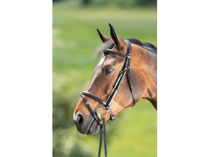 Uzdečka HFI Comfort1