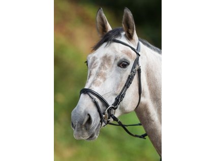 Uzdečka HFI Regular1