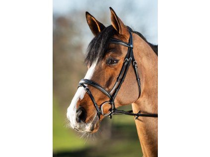 Uzdečka HFI Elegant1