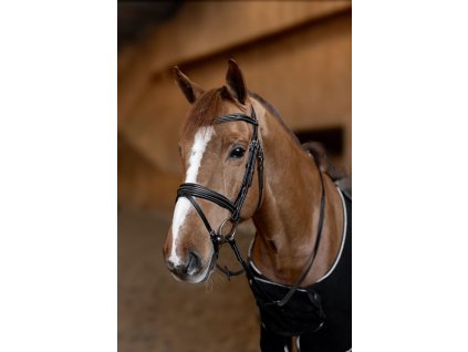 Uzdečka HFI Combine Padded1