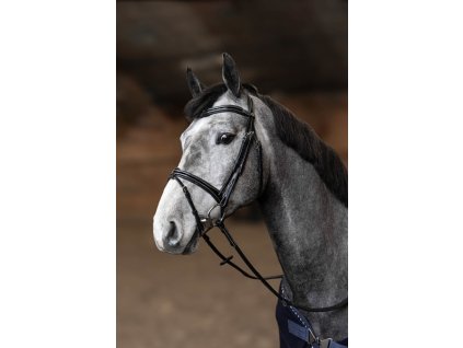 Uzdečka HFI Combine Painted1