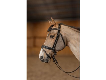 Uzdečka HFI Pro Line Verona1