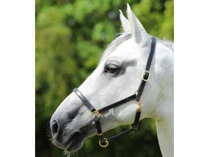 Ohlávka Premier Equine Pasco1