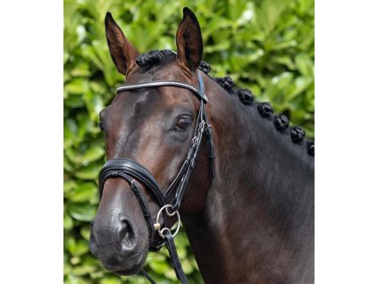Uzdečka Premier Equine Stellazio1
