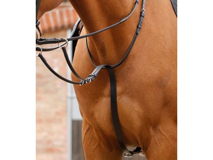 Martingal Premier Equine Santadi1