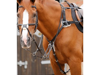 Poprsník Premier Equine Invorio1