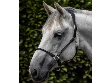 Ohlávka Premier Equine Hennaroso1