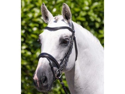 Uzdečka Premier Equine Cassano1