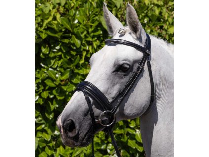 Uzdečka Premier Equine Castello1