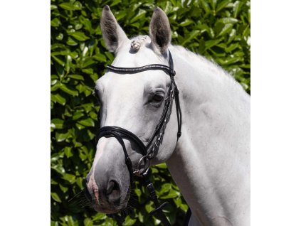 Uzdečka Premier Equine Rivere1