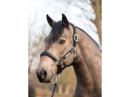 Ohlávka LeMieux Capella1