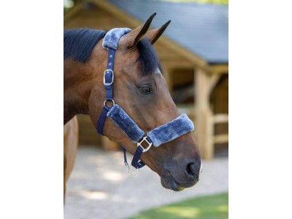 Ohlávka LeMieux Comfort1