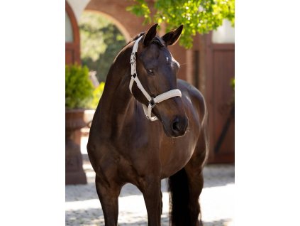 Ohlávka LeMieux Essence1