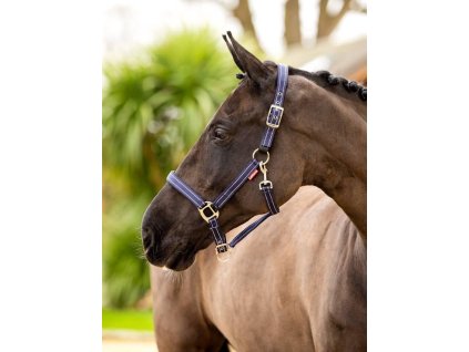 Ohlávka LeMieux Essential Yard1